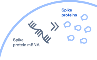 Illustration of how COMIRNATY works